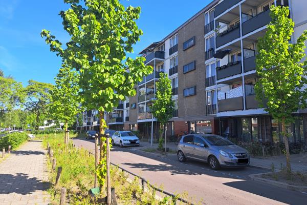 apartments for rent on Adenauerlaan 116