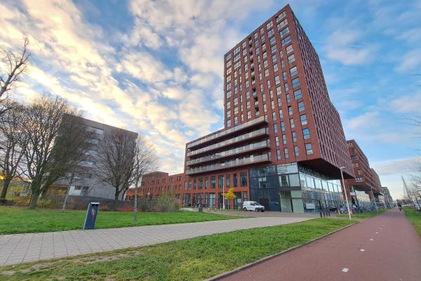 apartments for rent on Al-Masoedilaan 20