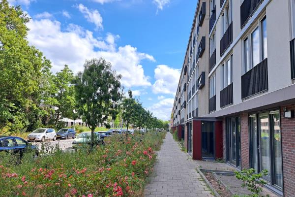 free-sector-houses for rent on Trumanlaan 103